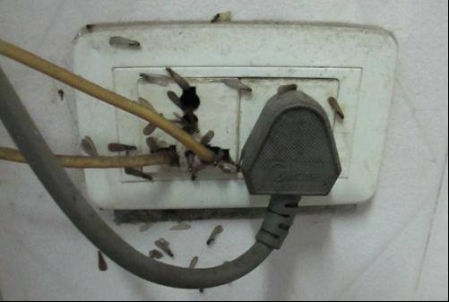 ����Σ����������