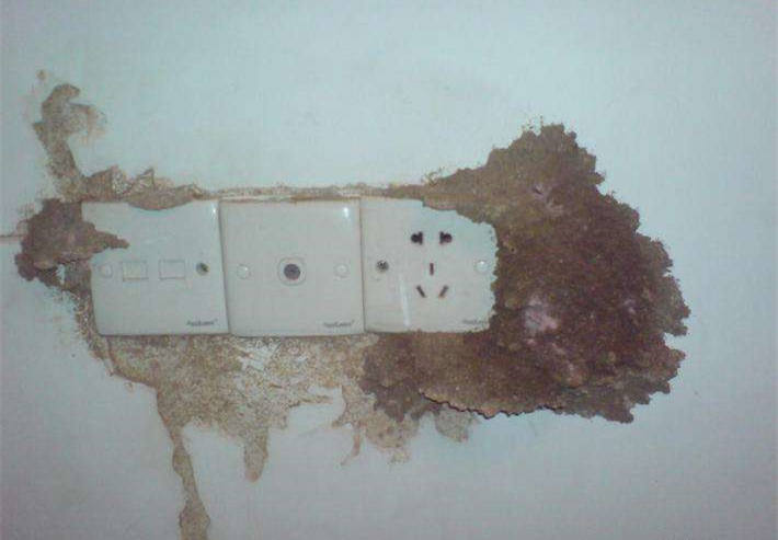 ����Σ����������