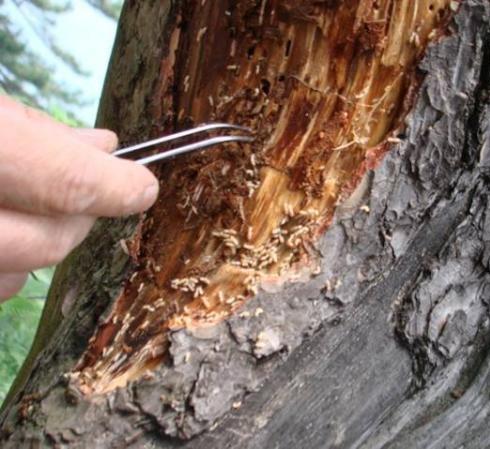 ԰�ְ��Ϸ���