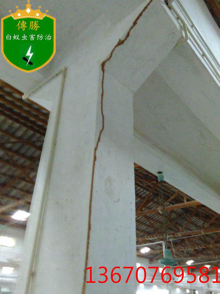 ��߳�������·