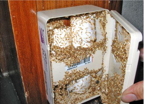 ���Ϸ���